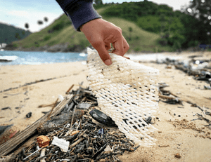 nettoyage de plage déchets plastique