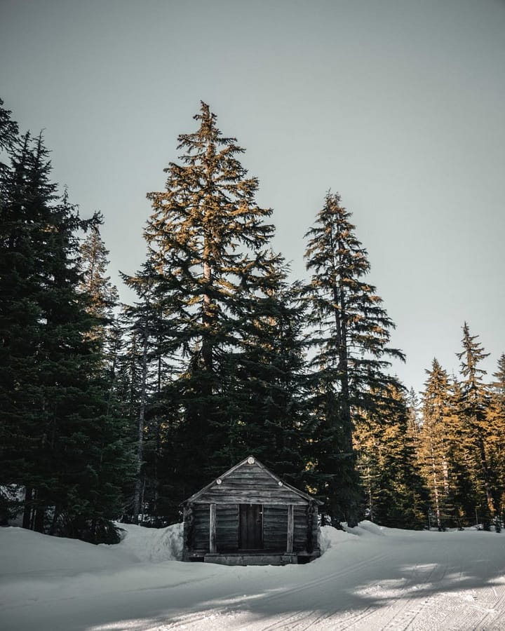 cabane en bois dans une forêt enneigée