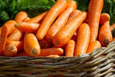 Carrotte dans panier, consommation éco-gîte